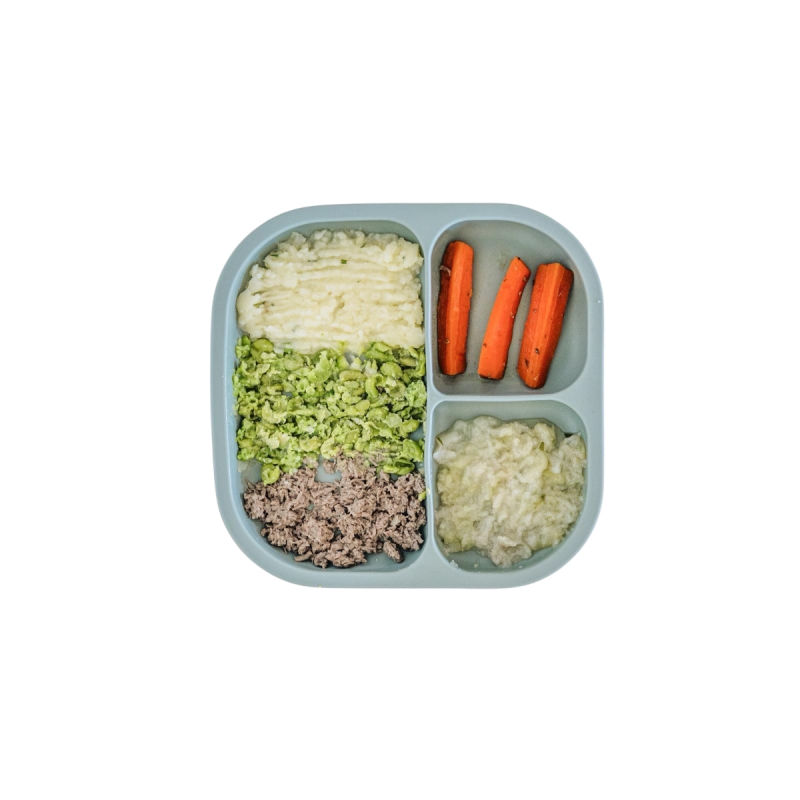 Purezinho de gr&atilde;o de bico, purezinho de batata doce, ab&oacute;bora e curgete